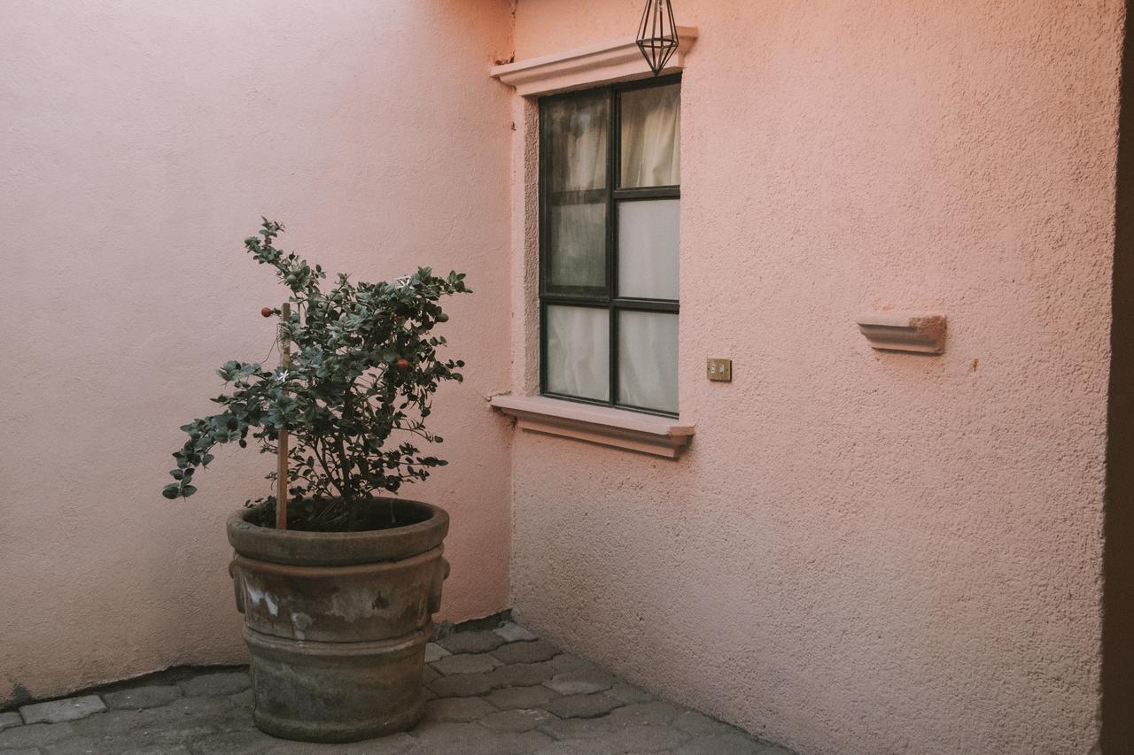 Casa Los Naranjos San Miguel de Allende Exteriör bild